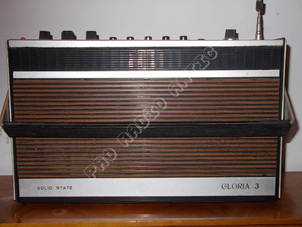 5acfb1c23fc64_gloria3.thumb.jpg.aef9725cc3a2362a974d525f8b80cb71.jpg