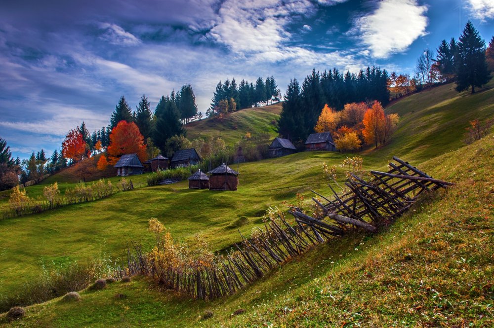 5acfb1c47f90d_alexrobciuc2.thumb.jpg.9e92ecb8fb8cbb0e7a4a11402f26c296.jpg
