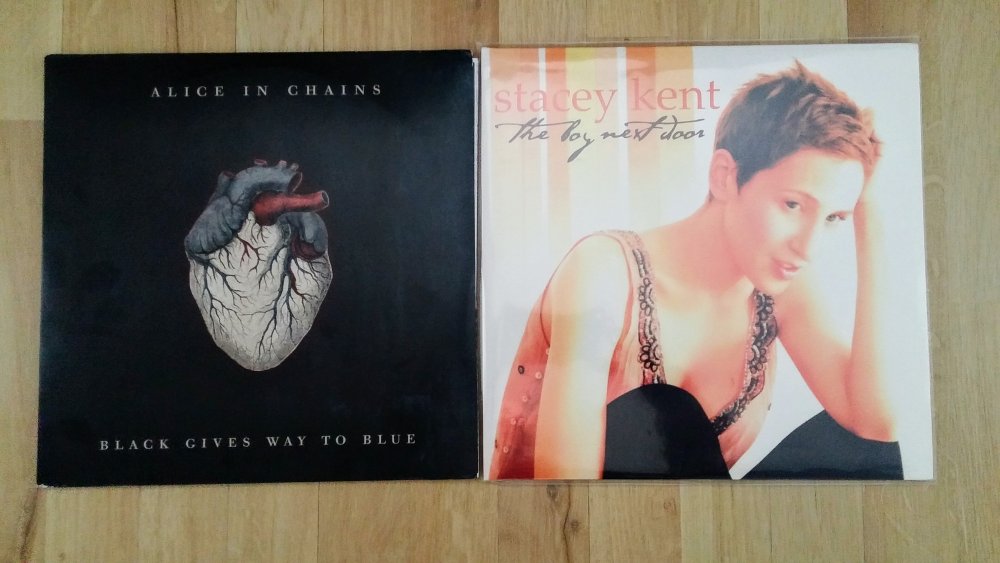 5acfb23770ac3_vinil2017.thumb.jpg.8ffef4d2304431f7aee936597cf6275c.jpg