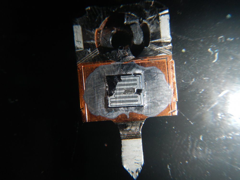 DSCN3314.thumb.JPG.4aa5a61c1d1cc77ee4758d58d7965a26.JPG