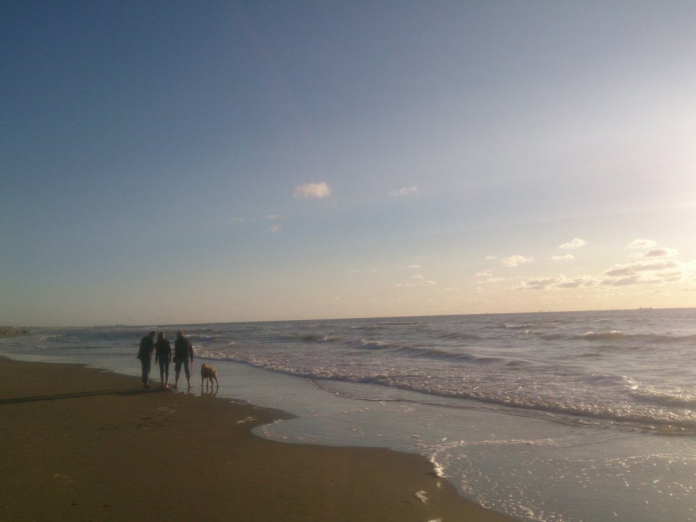 DSC_0173.thumb.JPG.4aebf3a5e0bdd27e83188e7f3756bb5b.JPG