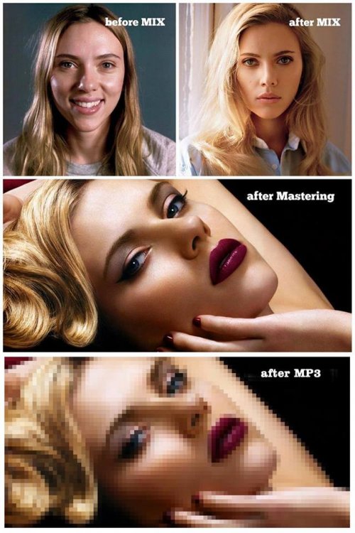 mp3.thumb.jpg.1980cff6008582311d747af21a557c84.jpg