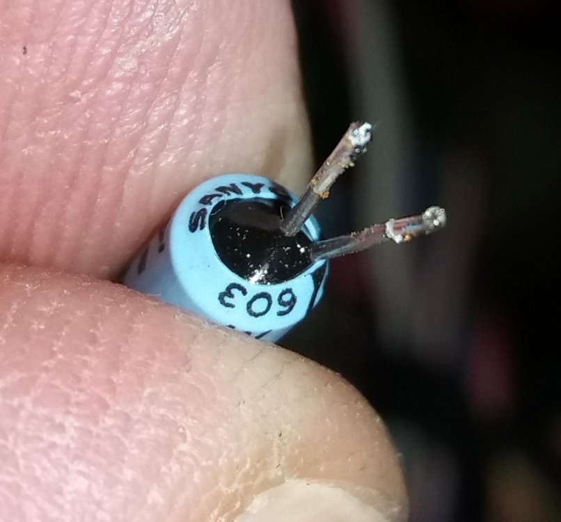 20190228_1957131.jpg