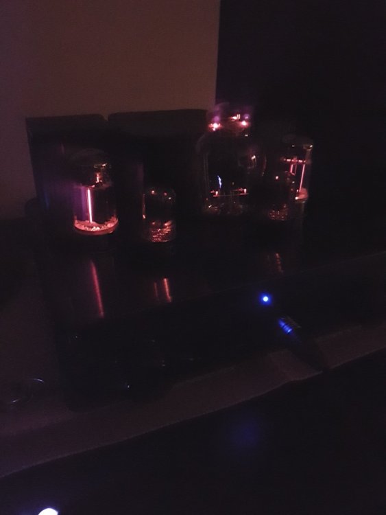 20190302_221625.jpg