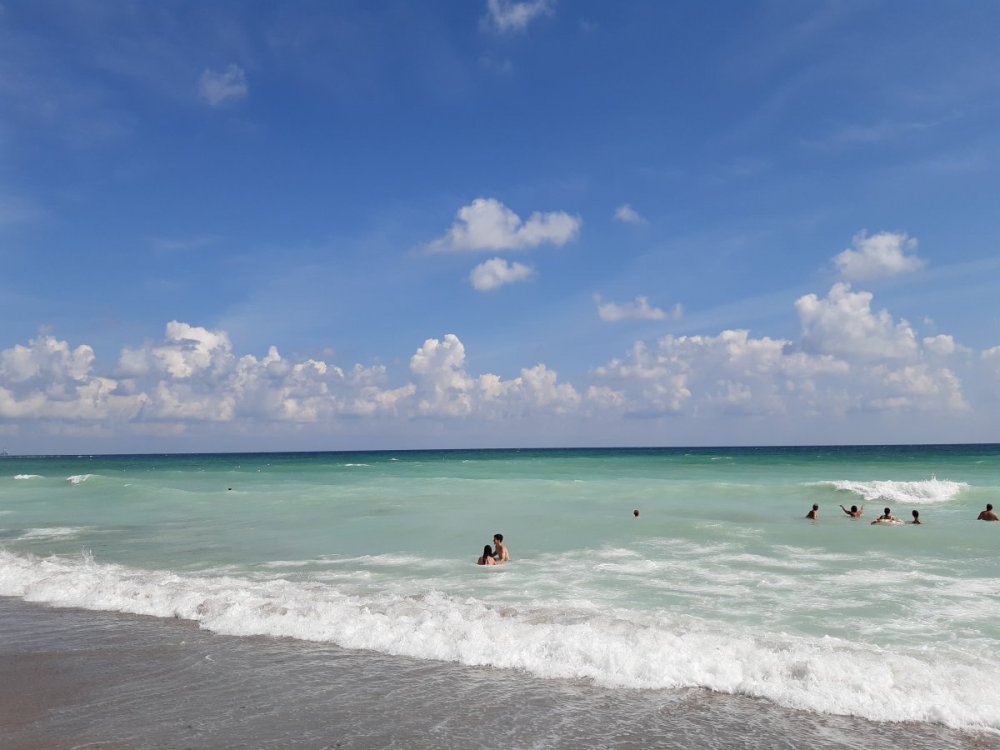 20190908_115942.jpg